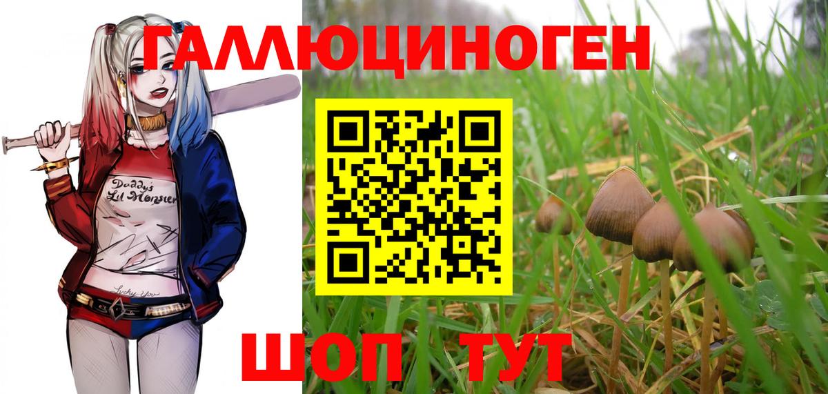 Батайск  Галлюциногенные грибы мицелий  Псилоцибиновые грибы Psilocybe  Вход с VPN 