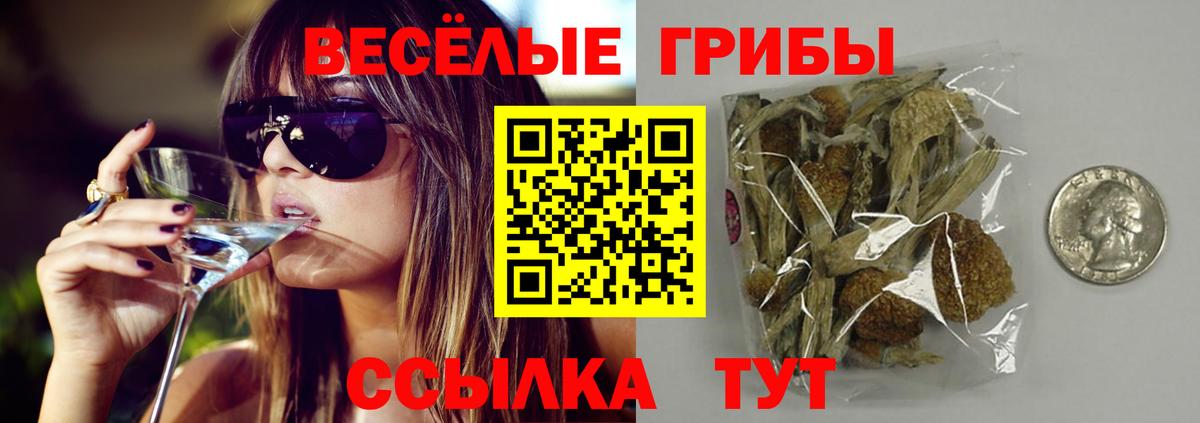 Галлюциногенные грибы Psilocybe Батайск